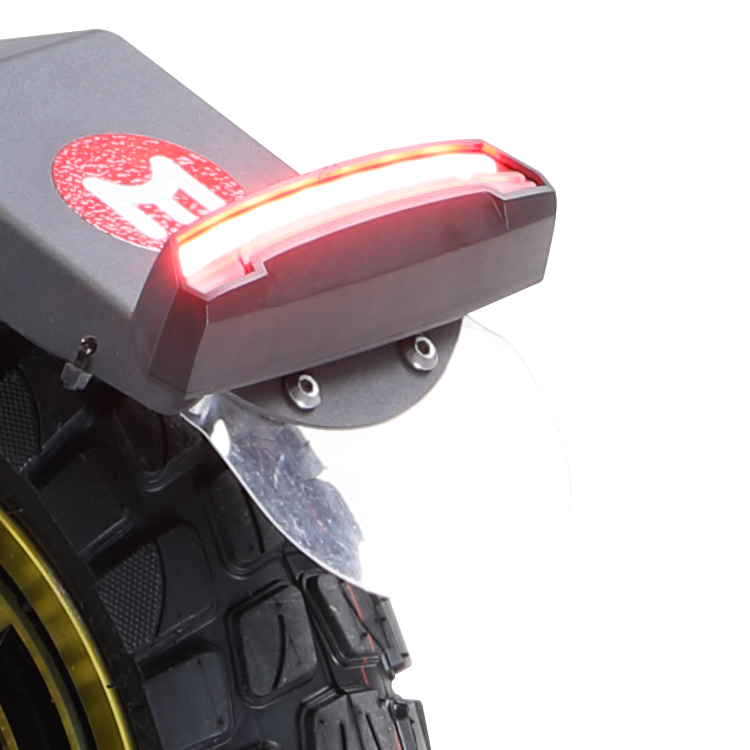 S10 Taillight