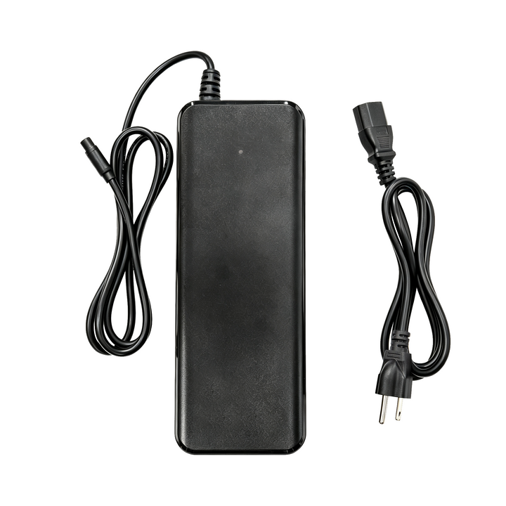 Fast Charger 67.2V 5A 10A Raptor2